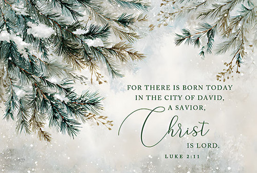 LUX1306 A Savior is Born Block