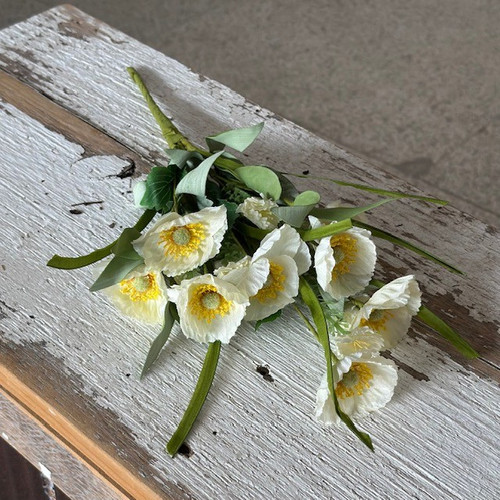 17" CREAM POPPY BUSH