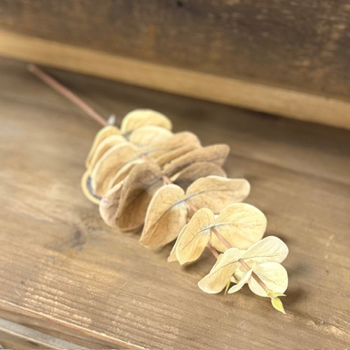 14" PALE GREEN EUCALYPTUS SPRAY