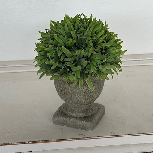 6.5" GRASS IN TOPIARY POT