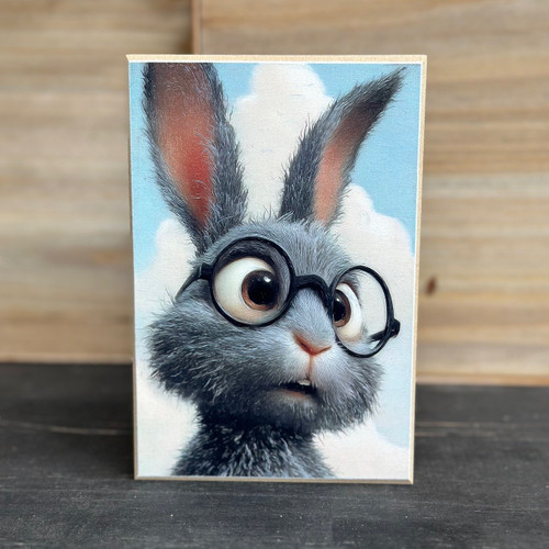 HMK1442B Bunny What? Block