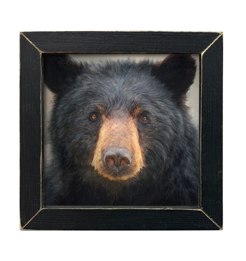 HMK1542L Big Black Bear