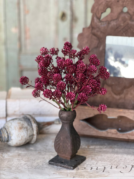 12" Wil-O-Wisp Bush | Sangria