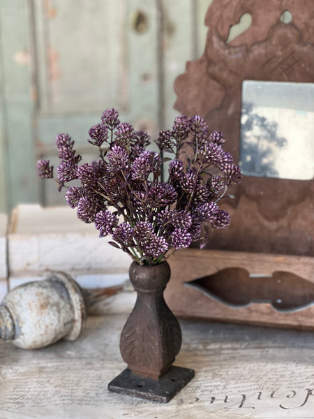 12" Wil-O-Wisp Bush | Purple