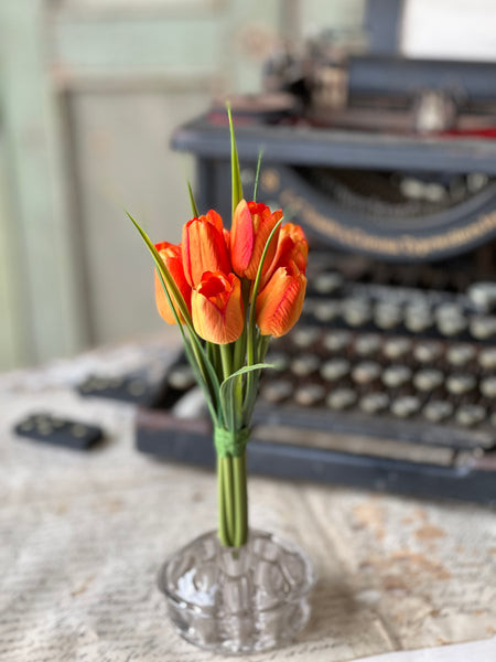 7" Teeny Tiny Tulips | Orange