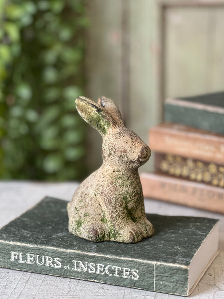 5.5" Tilly Rabbit | Sitting