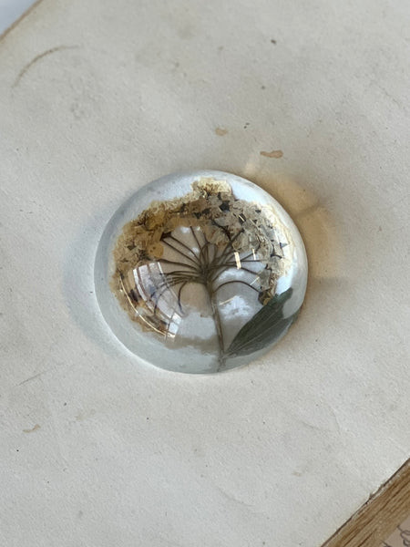 Natural Wonders | No. 4