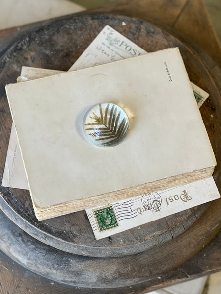 Natural Wonders | No. 6