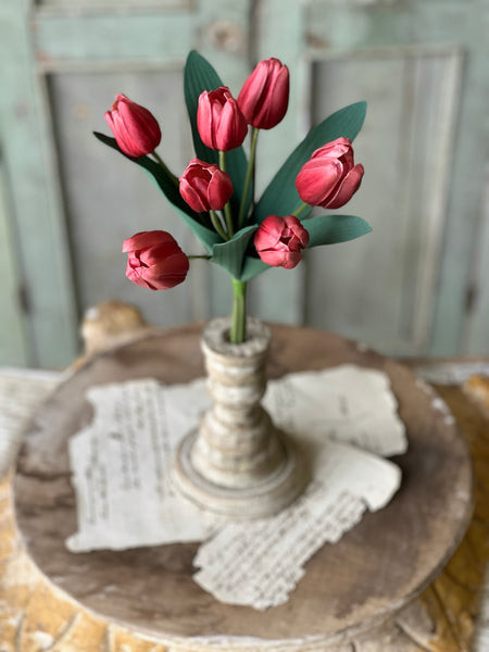 14.5" Triumph Tulip Bundle | Rouge
