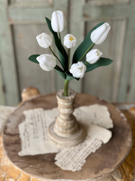 14.5" Triumph Tulip Bundle | White