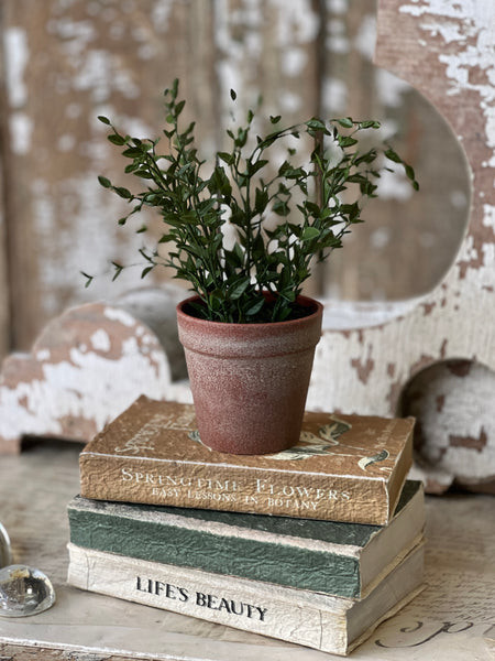 10" Hebron Pot | Spear Leaf