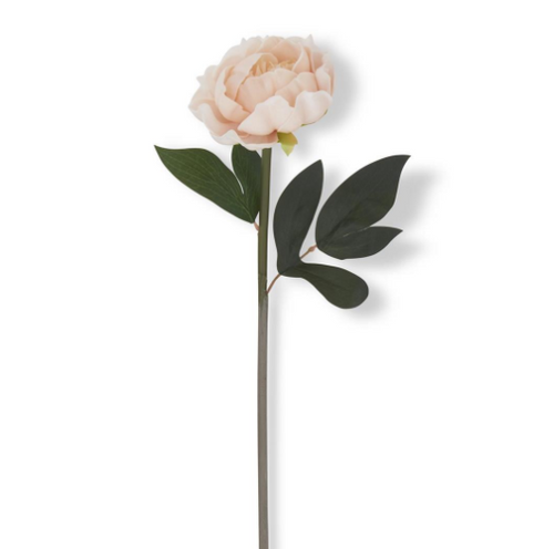 20 Inch Light Peach Real Touch Peony