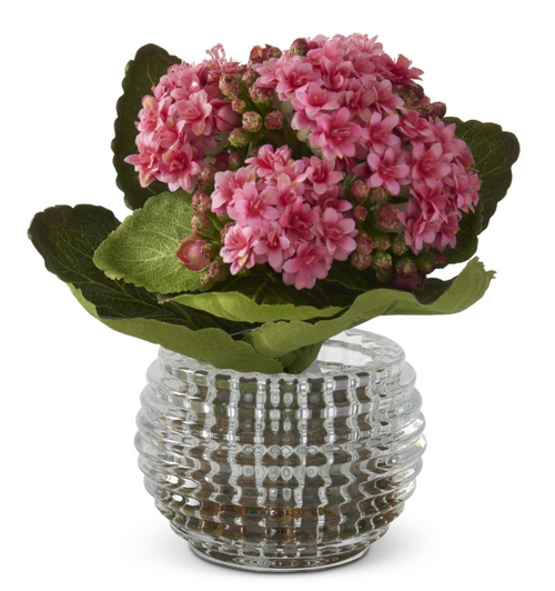 7.5 Inch Pink Kalanchoe Premade in Pressed Glass Vase w/Faux Moss