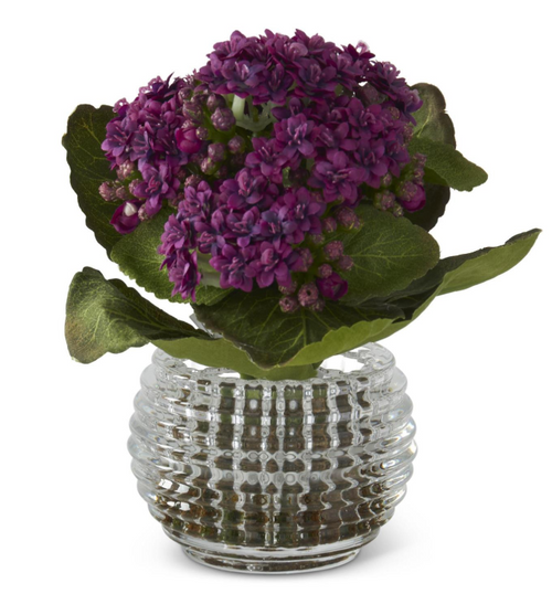 7.5 Inch Purple Kalanchoe Premade in Pressed Glass Vase w/Faux Moss