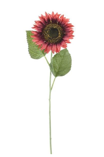 25"L X 4.25"DIA SUNFLOWER STEM