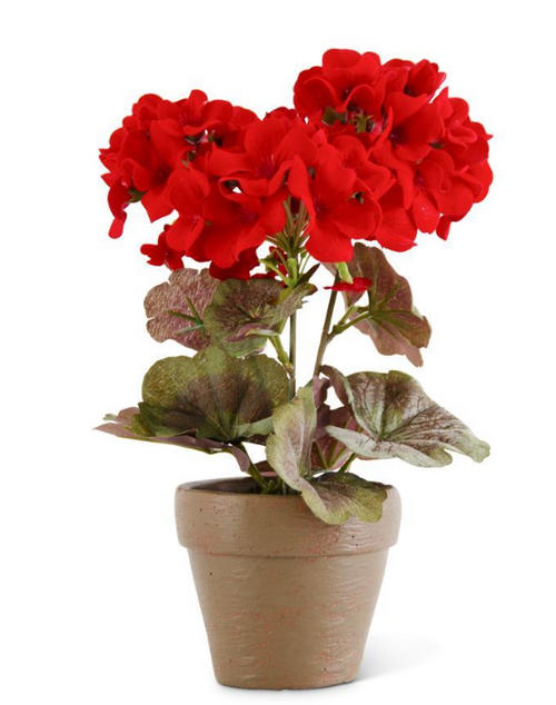 9 Inch Red Geranium in Distressed Clay Pot