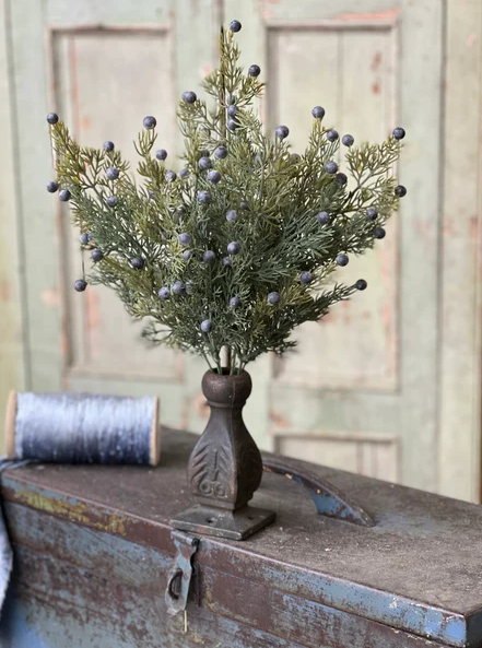 18" Midnight Juniper Bush