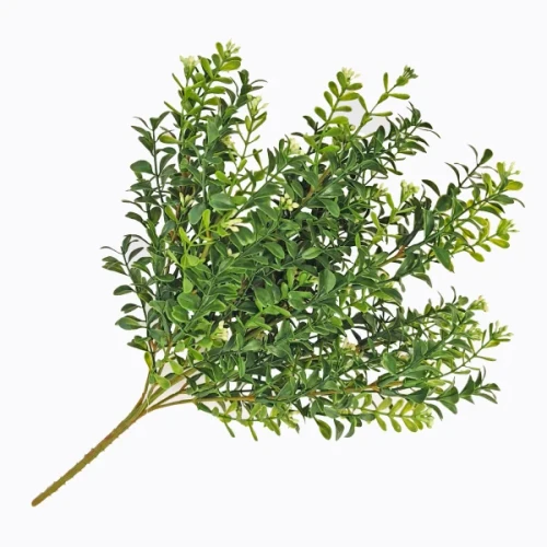 BOXWOOD & SEEDS BUSH 18IN 7 STEMS MIXED GREEN