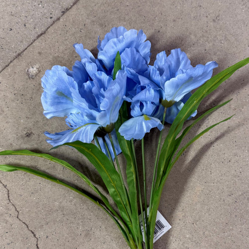 IRIS BUSH 20.5IN BLUE