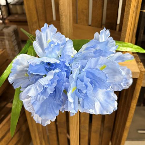 IRIS BUSH 20.5IN BLUE