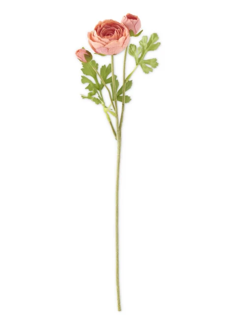 23 inch Coral Real Touch 3 Head Ranunculus Stem
