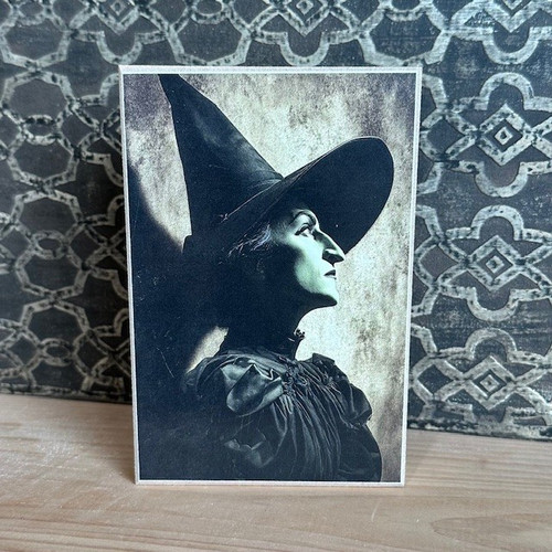 HMK1319B WICKED OZ WITCH PORTRAIT 4X6 BLOCK