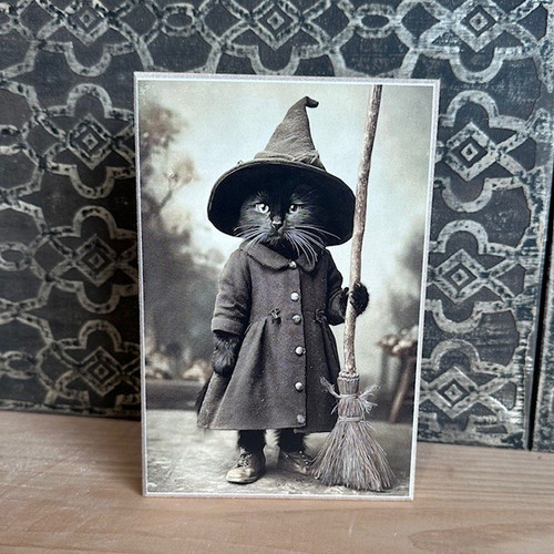 HMK1324B VINTAGE CAT WITCH PORTRAIT 4X6 BLOCK