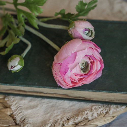 20" SOFT TOUCH PINK RANUNCULUS STEM