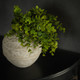 14" YELLOW GREEN EUCALYPTUS LEAF SPRAY