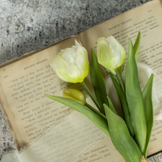 9.5" GREEN & WHITE TULIP BUSH