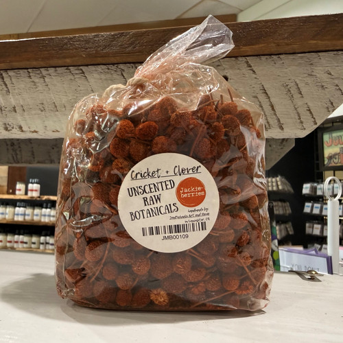 Orange Jackie Berries 6oz