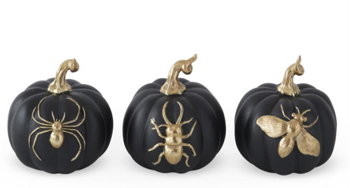 ASST 4in BLACK & GOLD INSECT PUMPKIN (EACH)