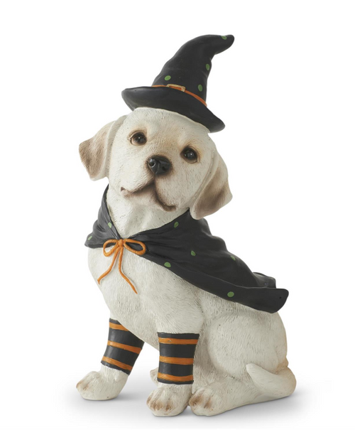 8in RESIN DOG W/WITCH HAT AND CAPE