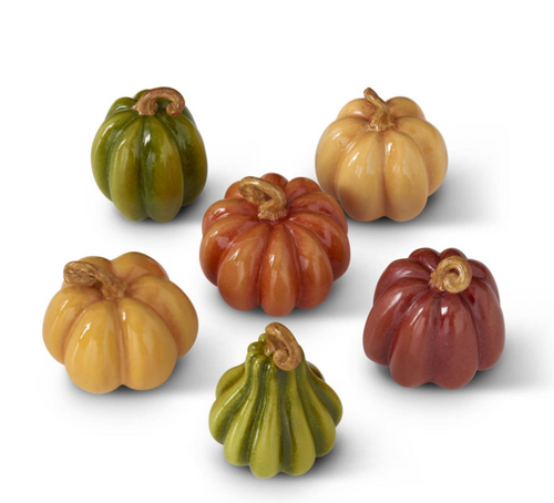 Assorted Fall Colored Mini Pumpkins (each)