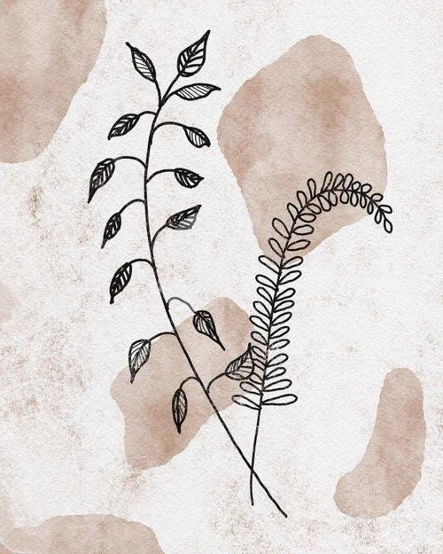 AB260 Stem Illustrations Picture