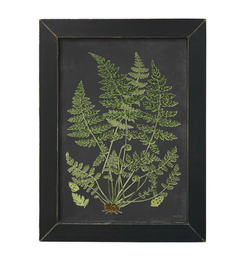 LET477 Fancy Ferns