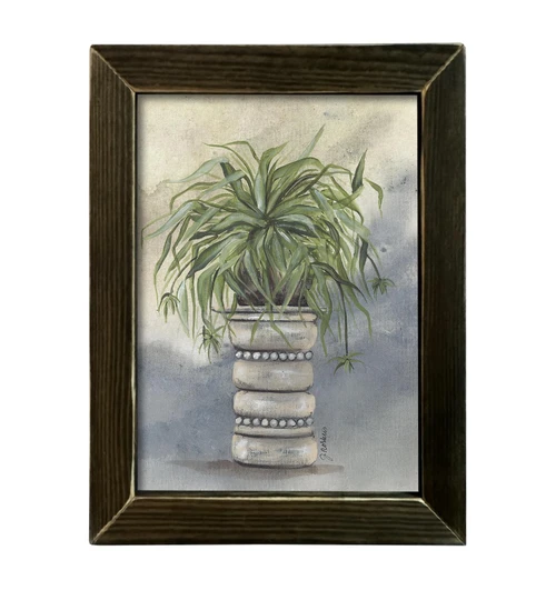 NOR239 Cascading Spider Plant