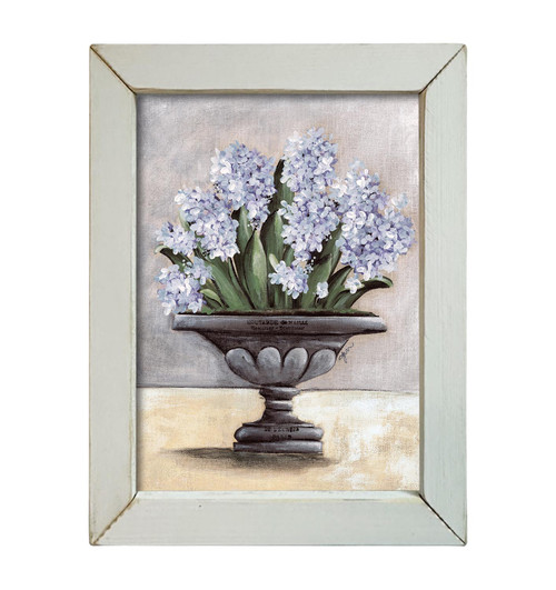NOR250 Potted Hyacinth CLEARANCE