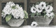 CIN3690 Vintage Flower Market Picture