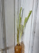 Marsh Grass Green 24in SALE
