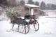 Grandpas Sleigh Picture