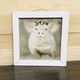 LD1736 White Wash Frame