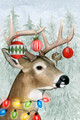 Decorated Deer Picture