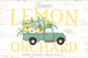 JP7517 Lemon Orchard Picture
