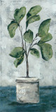 NOR143 Fiddle Fig Leaf Picture