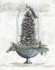 NOR186 Preserved Pine Cone Picture