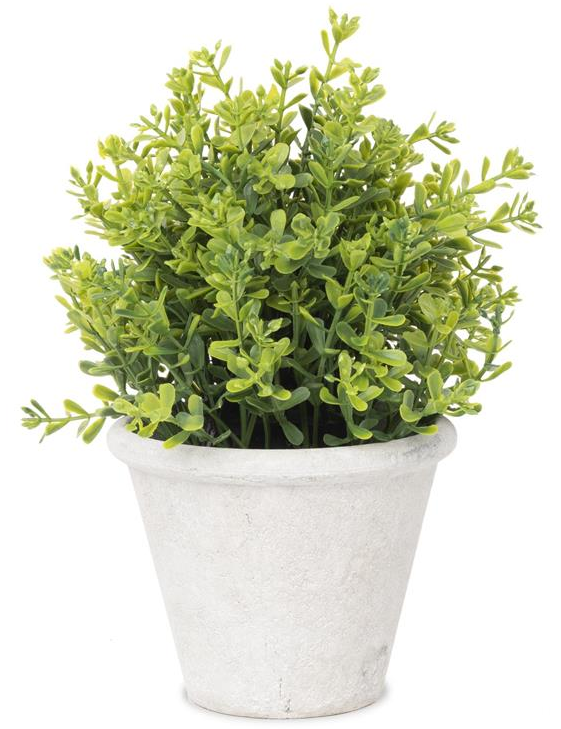 Light Colored Greenery In Pot JanMichaels Art and Home