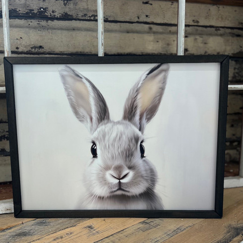 HMK183 Closeup Rabbit Box Frame - JanMichaels Art and Home