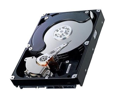 Seagate 80GB 7200RPM ATA-100 3.5 Hard Drive for Servers and Desktops