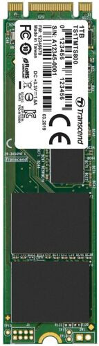Transcend - TS1TMTS800 - SSD 1TB SATA 6Gb/s M.2 2280